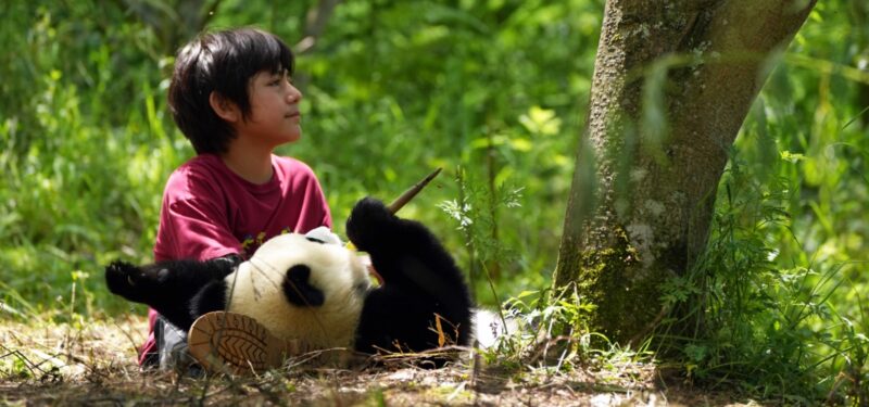 Panda a já 